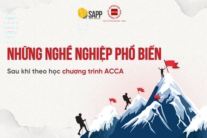 học acca làm được nghề gì