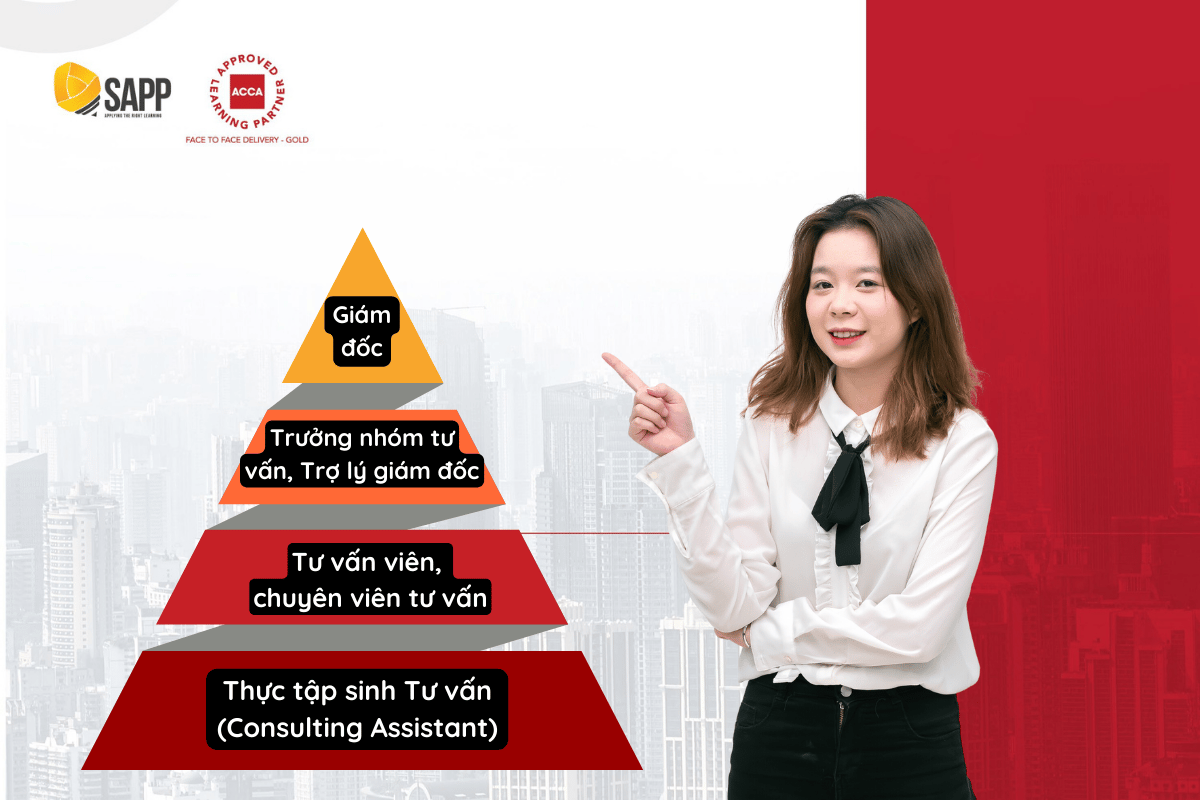 Những điều cần biết về Nghề Tư vấn (Consulting) tại BIG4