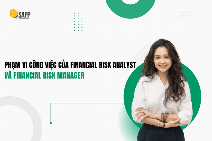 Scope of Risk Analyst & scope of risk manage